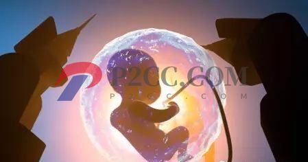 懷孕33周到36周，胎兒發(fā)育成什么樣呢？看看你家胎寶寶發(fā)育達(dá)標(biāo)嗎！(圖1)
