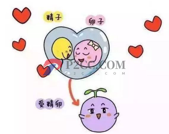 更年期是懷孕的第一征兆嗎？事實上，這三種感覺比更年期來得早(圖1)