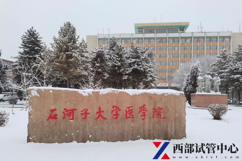 石河子大學(xué)醫(yī)學(xué)院第一附屬醫(yī)院(圖1) v2-31a26a0d0c6eabe3d61b2efe709e1e60_r.jpg