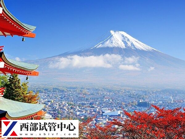 日本試管嬰兒收費并不貴