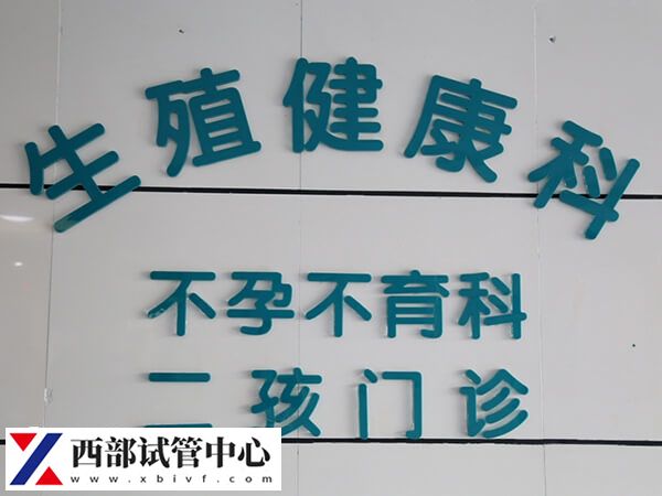 囊胚移植后可不可以適當活動