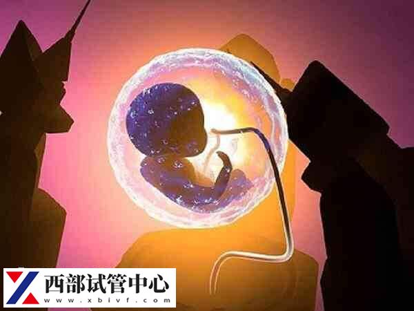 試管最快也需要1個半月才能完成