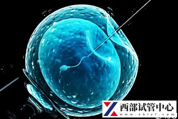 不同試管手術(shù)費(fèi)用有差異