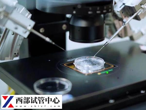 5天囊胚移植當天著床了