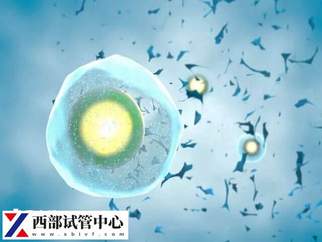 試管移植失敗要注意調整心態(tài)